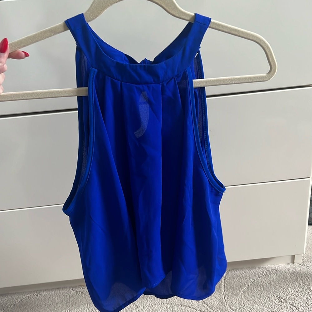 VERY LIGHTLY WORN!!! Blue sheer too (cropped)